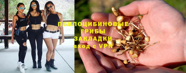 2c-b Балабаново
