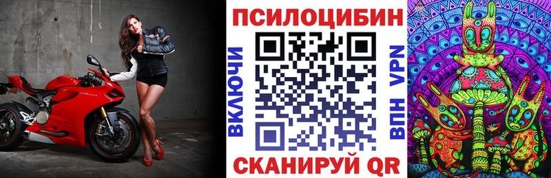 Псилоцибиновые грибы Psilocybine cubensis  площадка телеграм  Муравленко 