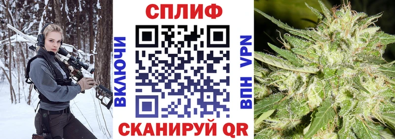 где купить наркотик  Муравленко  OMG ссылки  Бошки Шишки Amnesia 